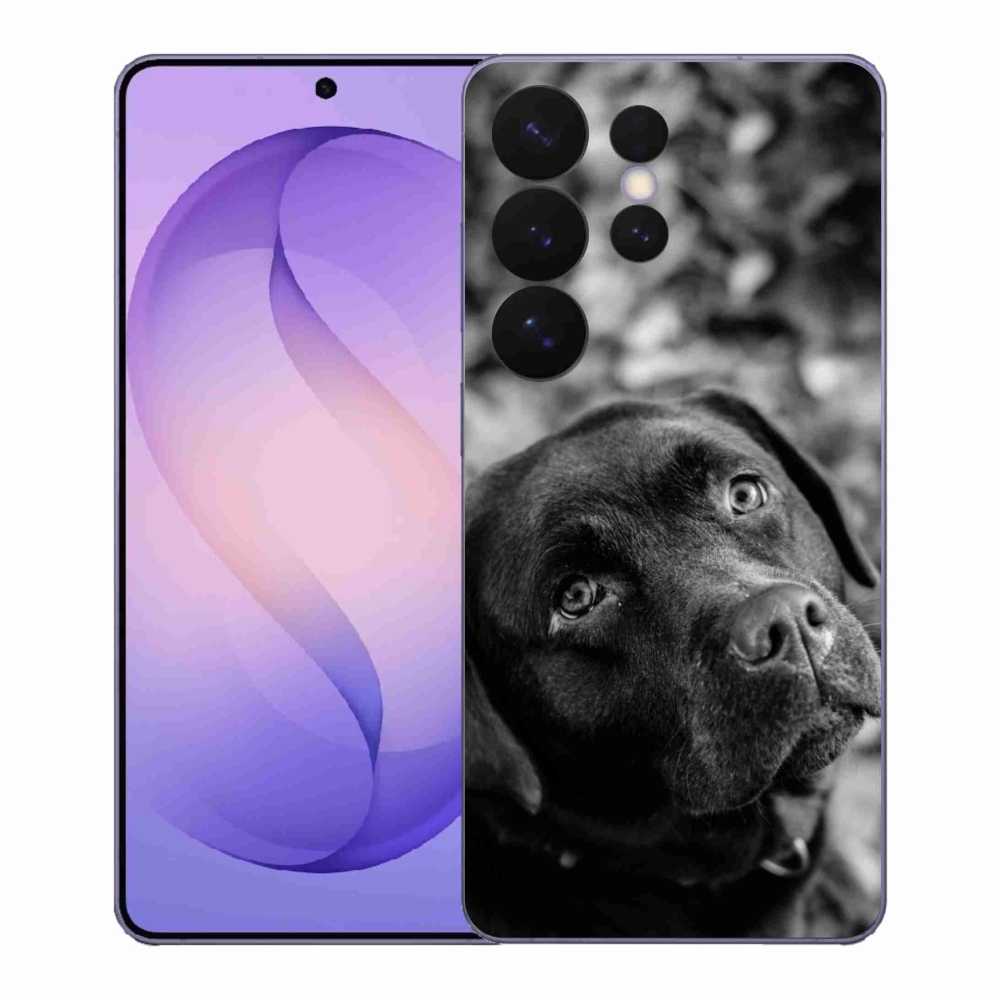 Zselés borítás mmCase Samsung Galaxy S26 Ultra készülékhez - labrador