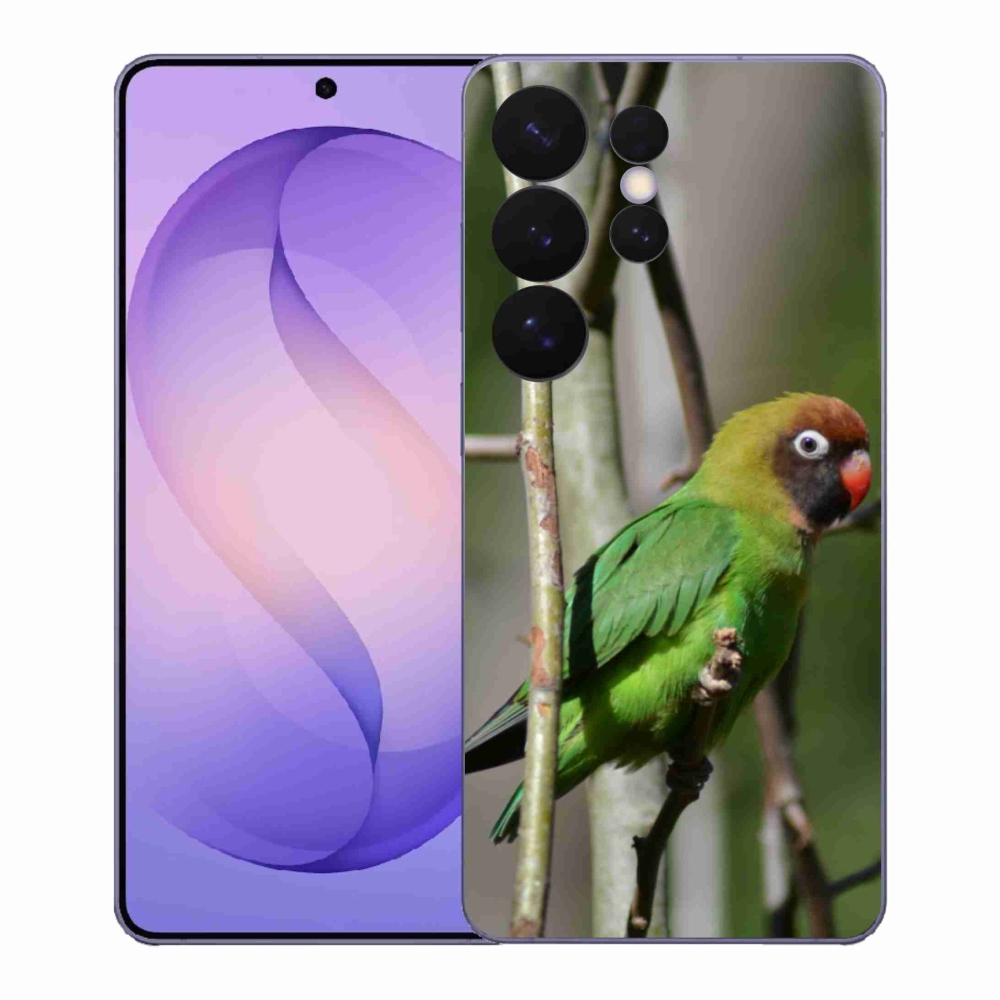 Gél borítás mmCase Samsung Galaxy S26 Ultra - papagáj agapornis