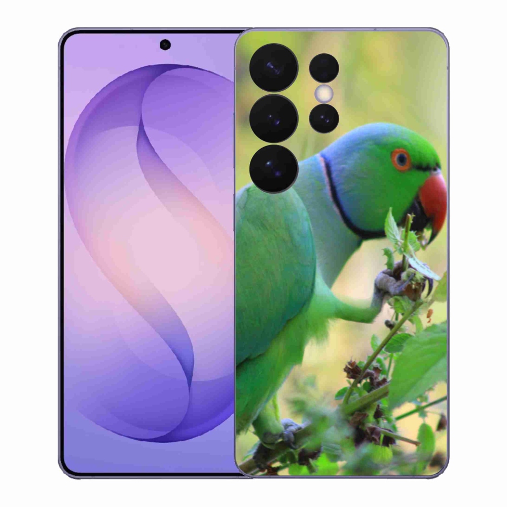 Gél borítás mmCase Samsung Galaxy S26 Ultra készülékhez - papagáj alexandr