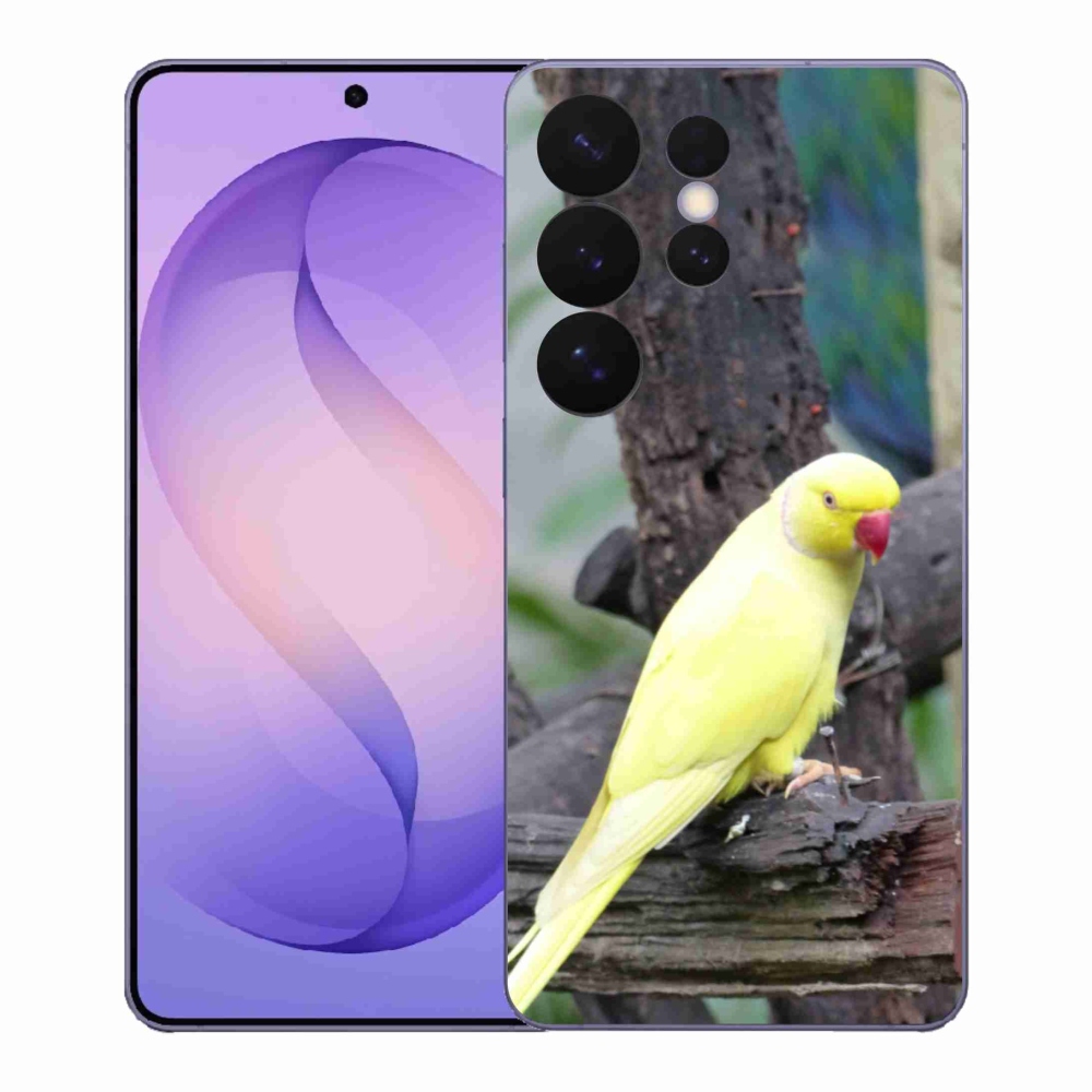 Zselés borítás mmCase Samsung Galaxy S26 Ultra - papagáj alexander sárga