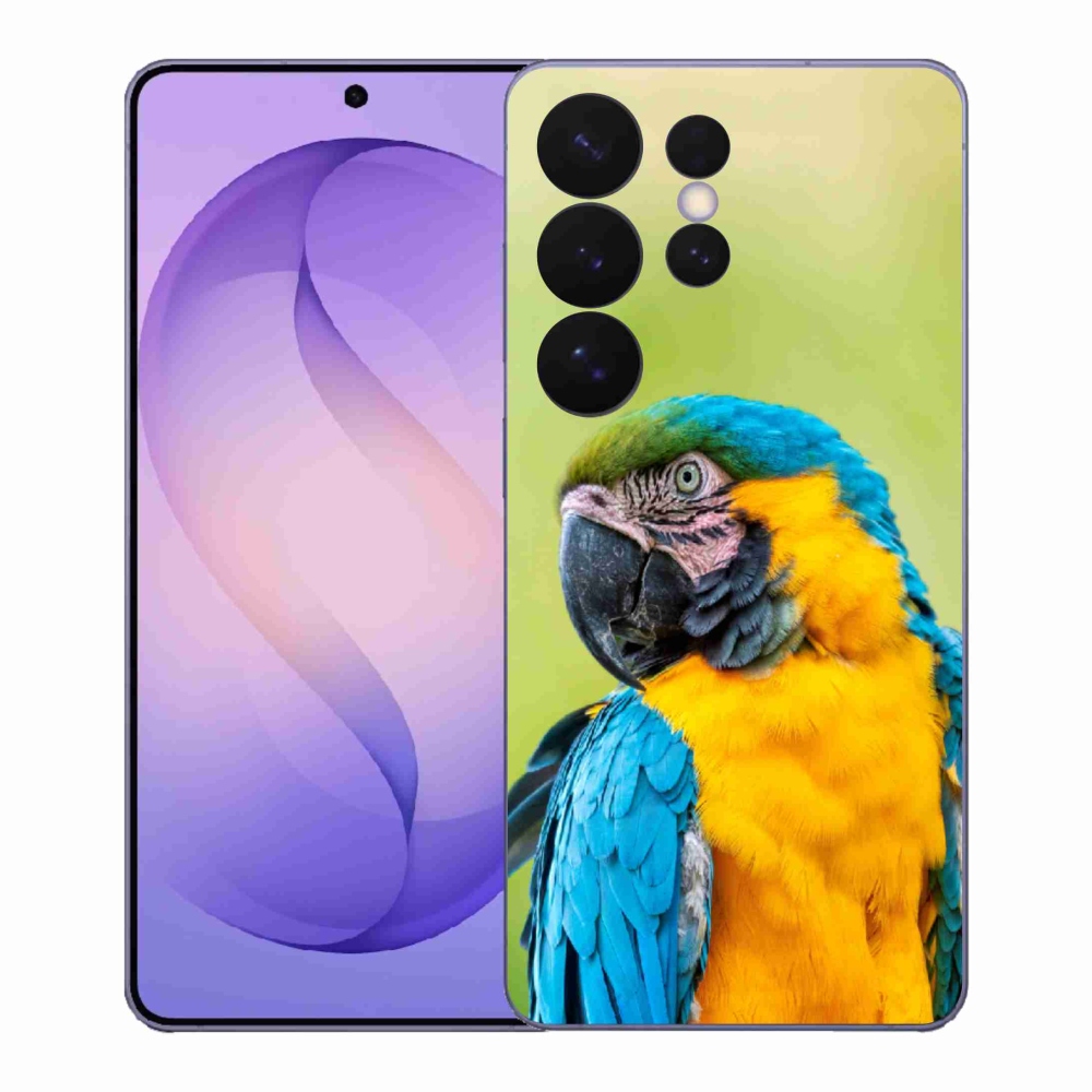 Gél borítás mmCase Samsung Galaxy S26 Ultra - papagáj ara 2