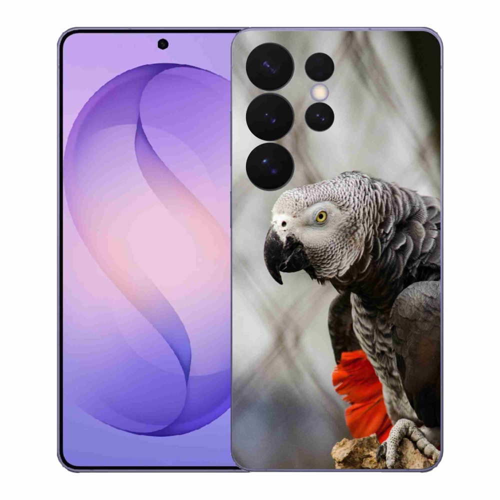 Gél borítás mmCase Samsung Galaxy S26 Ultra készülékhez - papagáj jacco 3