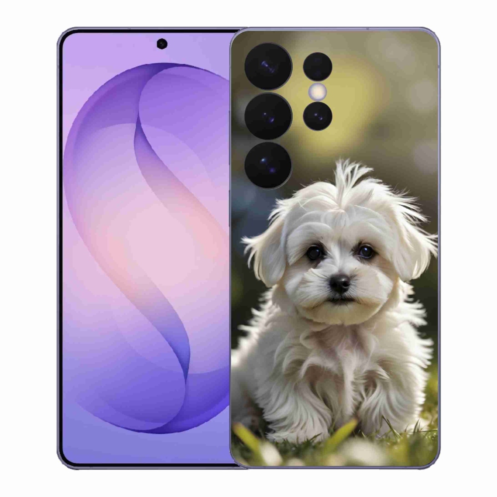 Gél borítás mmCase Samsung Galaxy S26 Ultra - aranyos máltai kutya