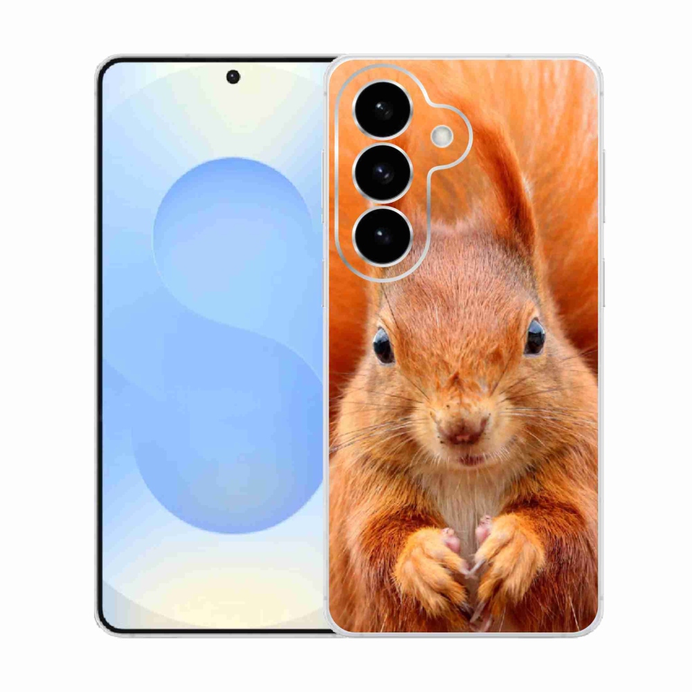 Zselés borítás mmCase Samsung Galaxy S26 készülékhez - mókus