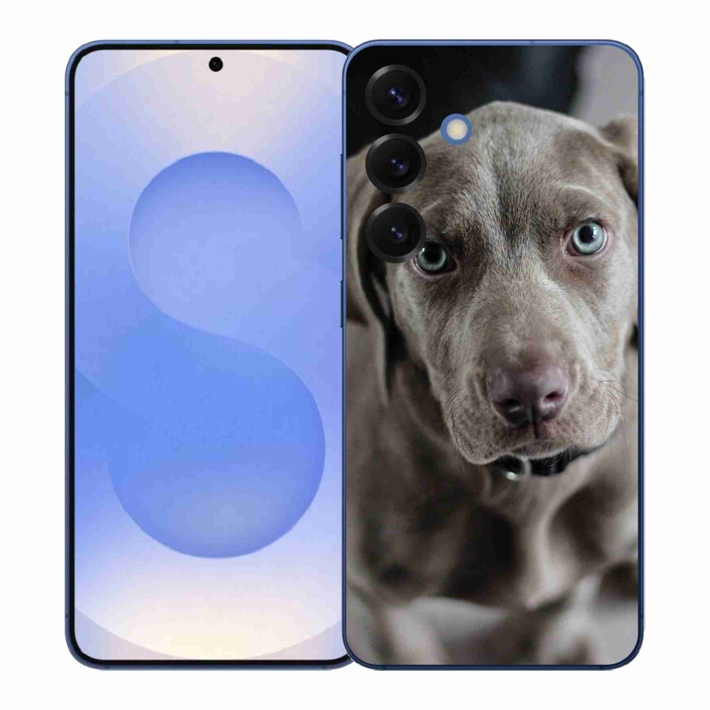 Gél borító mmCase a Samsung Galaxy S26+ készülékhez - výmarský ohař