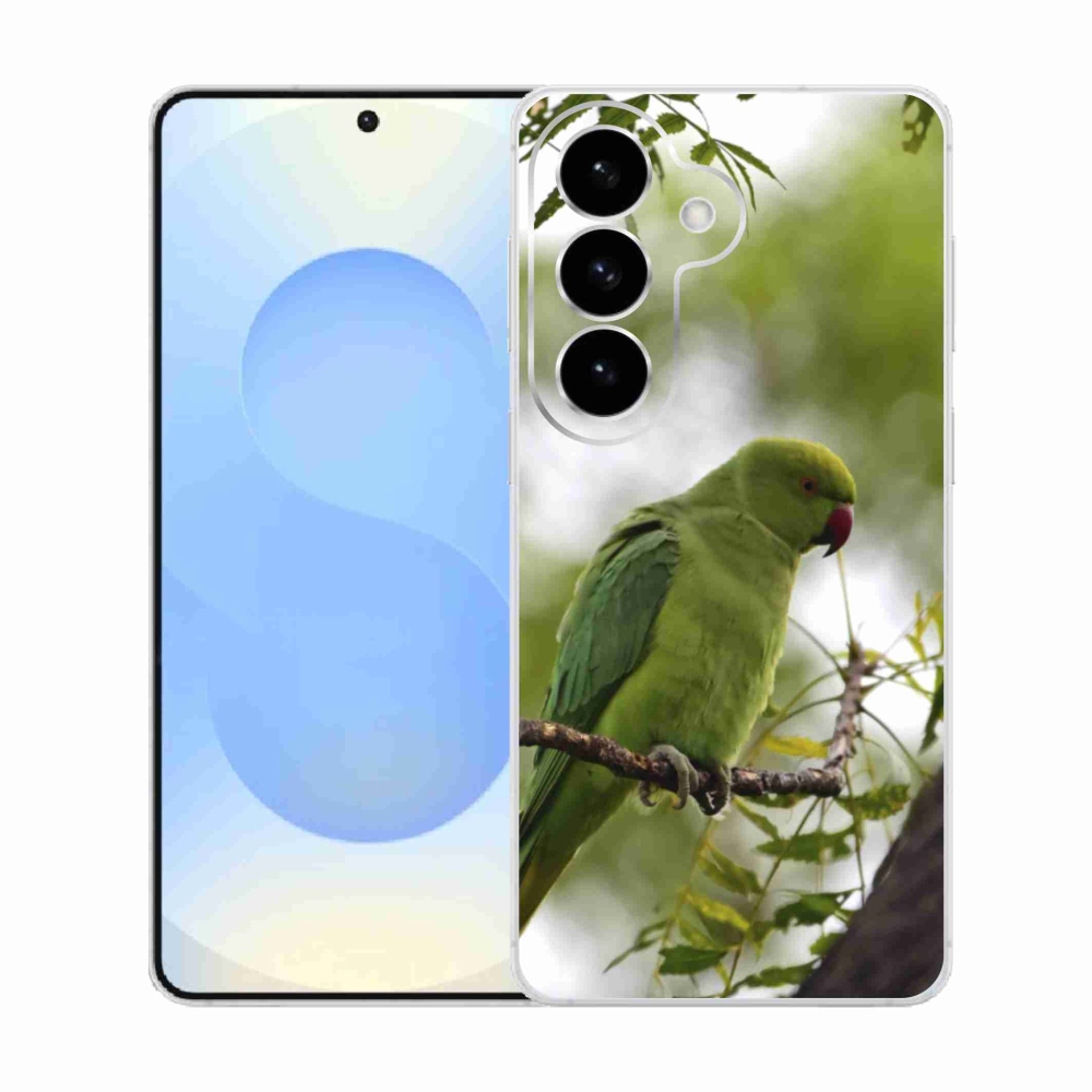 Zselés borítás mmCase Samsung Galaxy S26 készülékhez - zöld papagáj