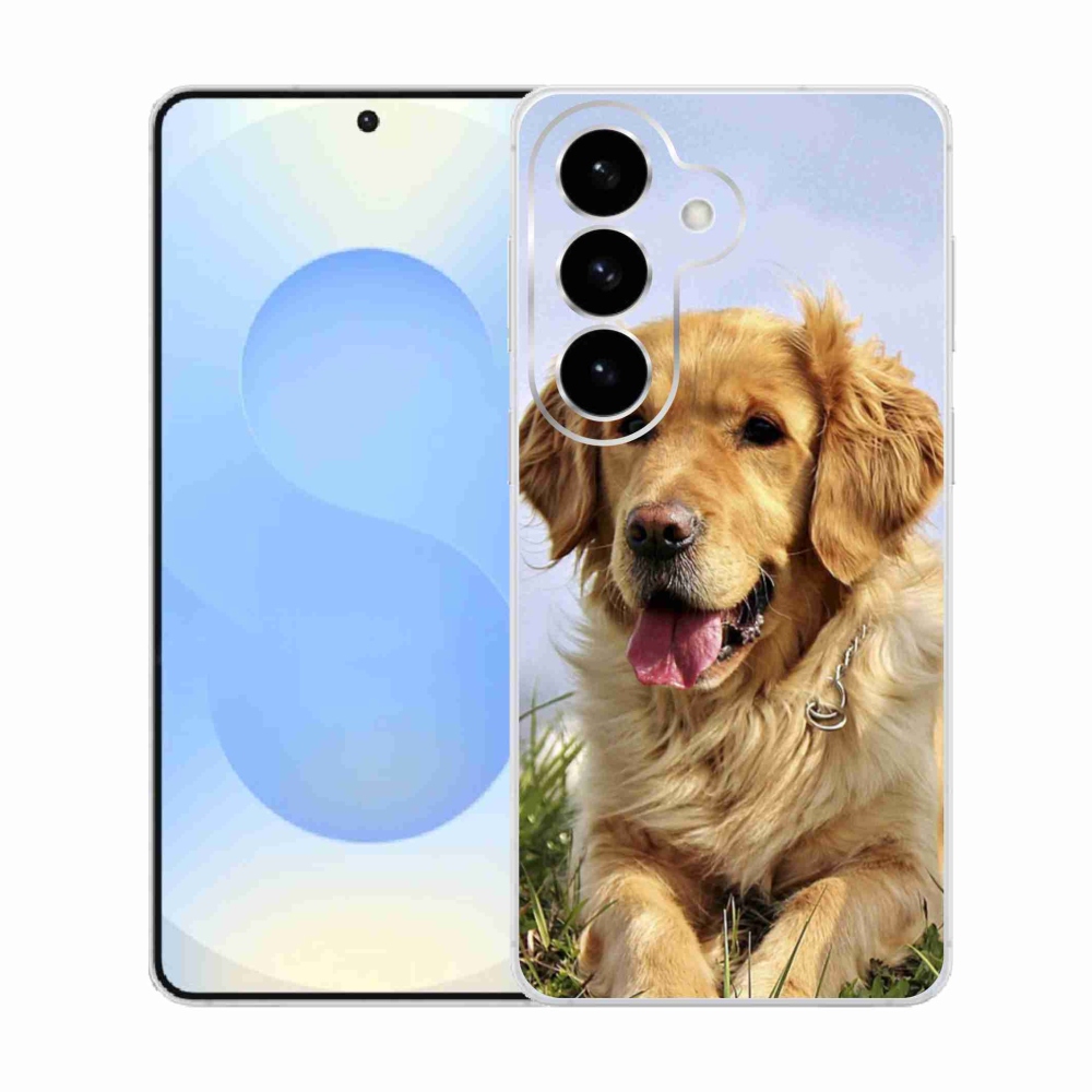 Gél borítás mmCase Samsung Galaxy S26 készülékhez - arany retriever