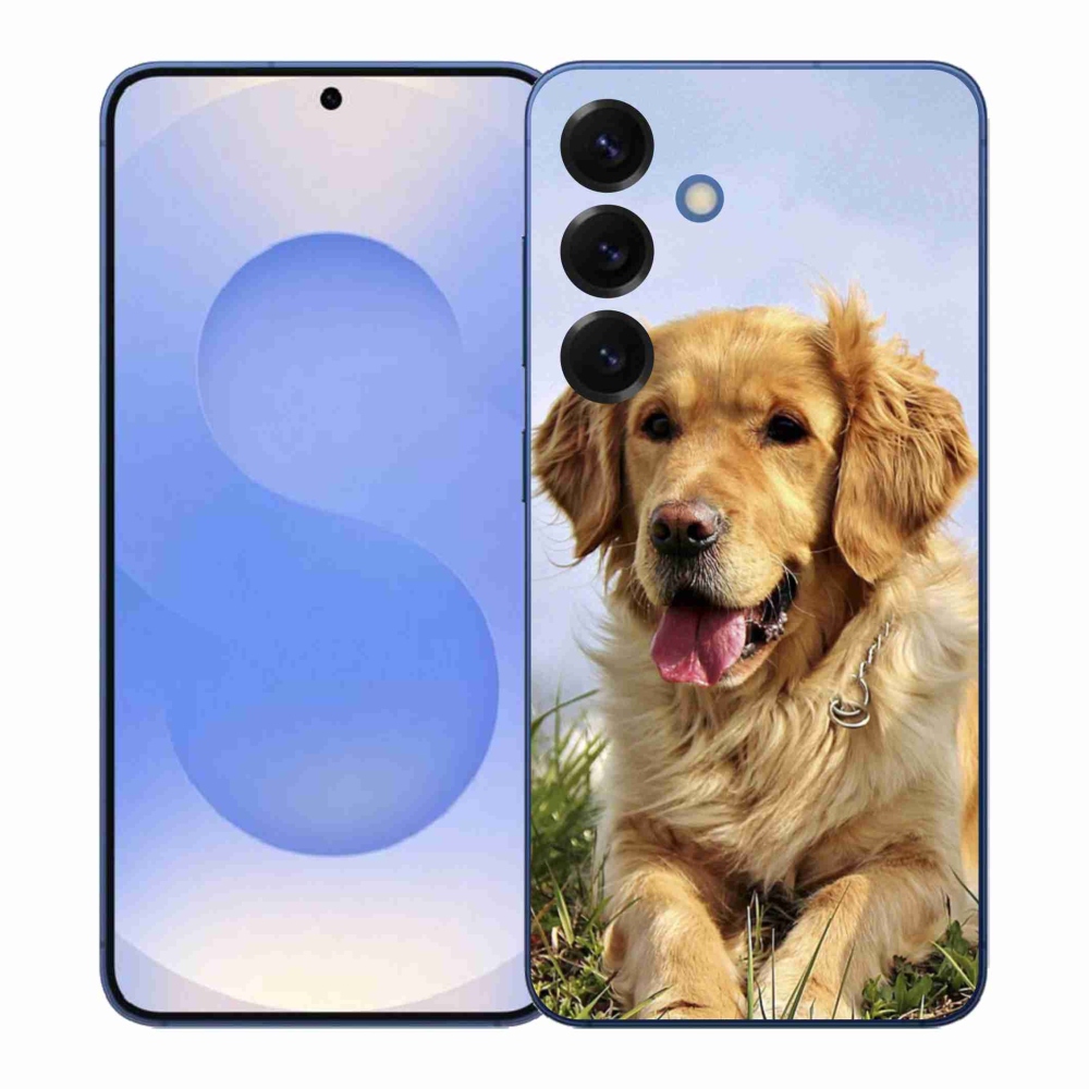 Gél borítás mmCase Samsung Galaxy S26+ készülékhez - arany retriever