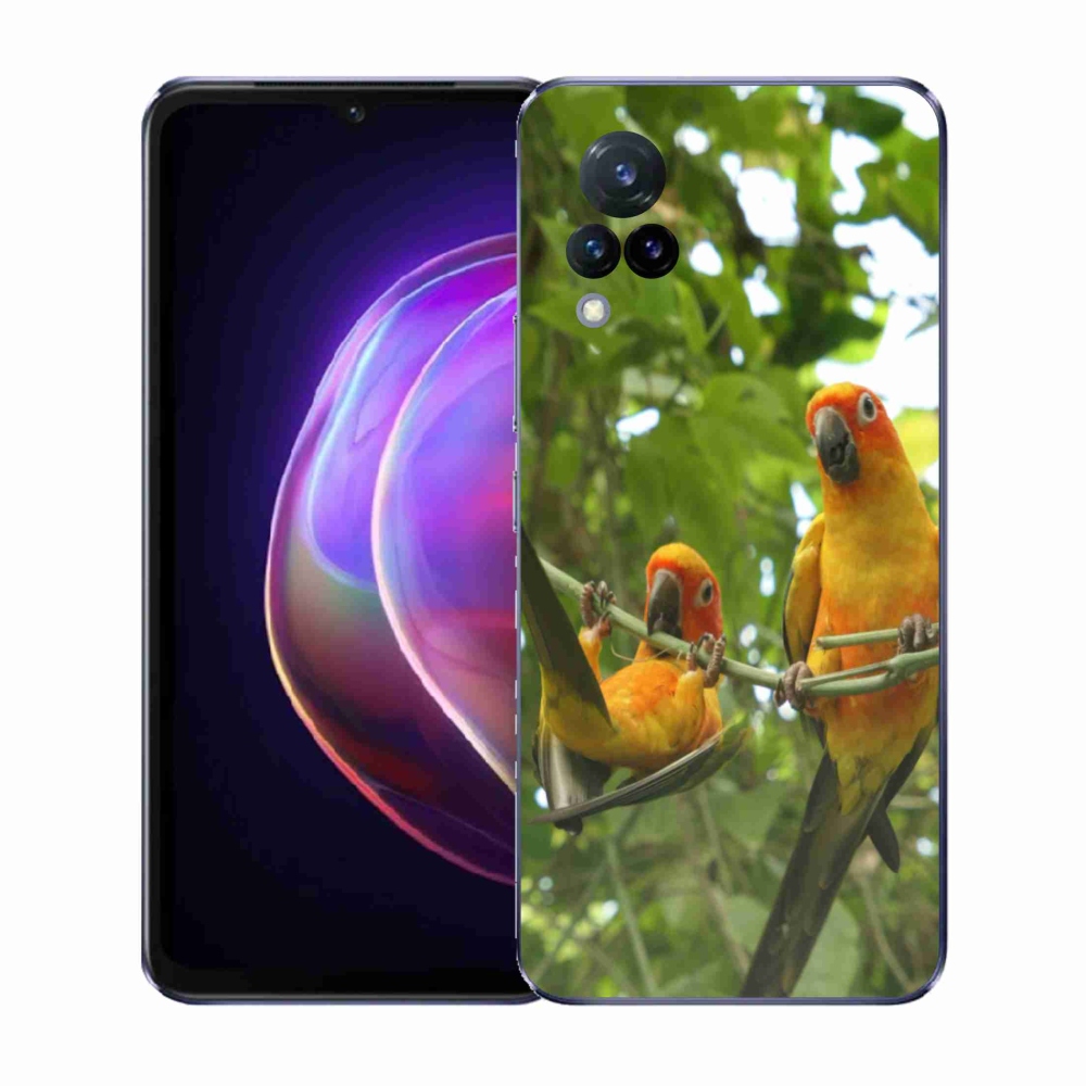 Gél borítás mmCase a Vivo V21 4G/5G készülékhez - papagájok aratingy