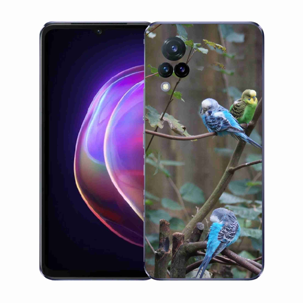 Gél borító mmCase a Vivo V21 4G/5G készülékhez - papagájok az ágon