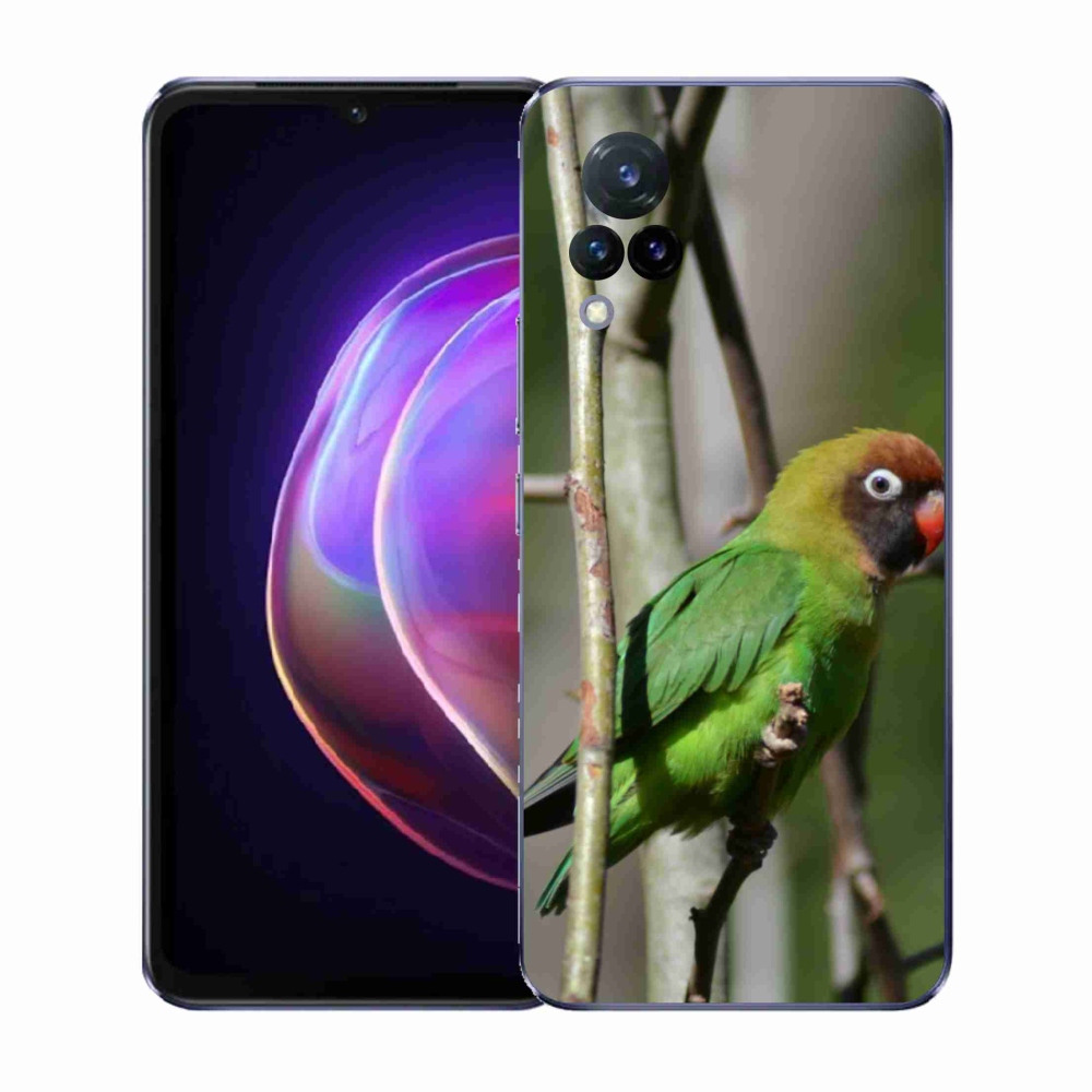 Gél borító mmCase a Vivo V21 4G/5G készülékhez - papagáj agapornis