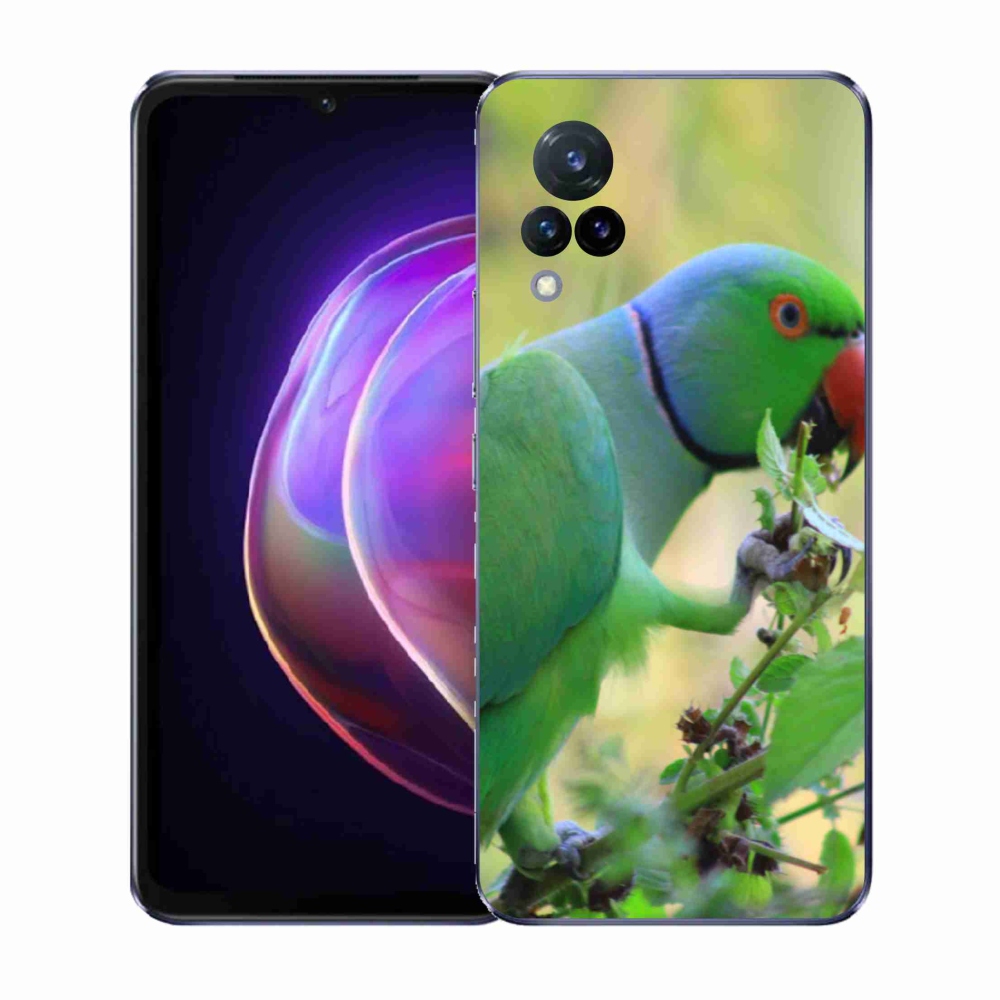 Gél borítás mmCase a Vivo V21 4G/5G készülékhez - papagáj alexandr