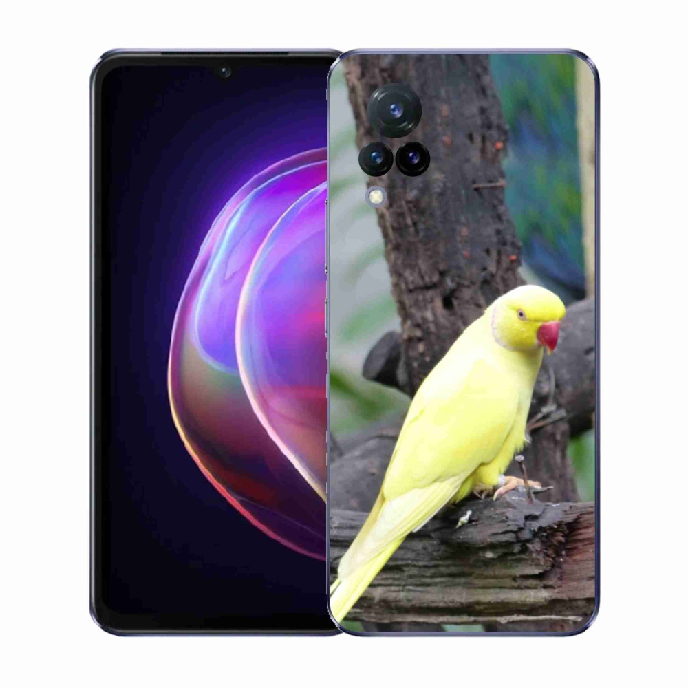 Zselés borítás mmCase Vivo V21 4G/5G - papagáj alexander sárga