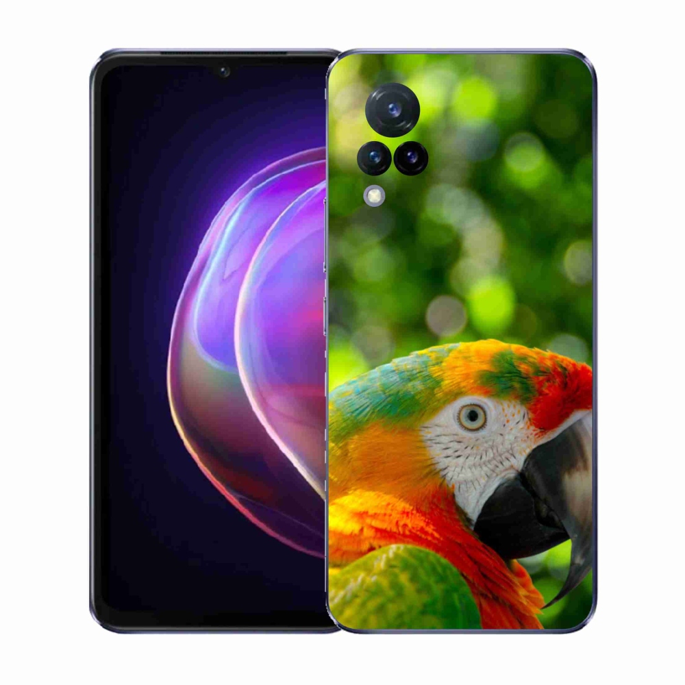Gél borítás mmCase a Vivo V21 4G/5G készülékhez - papagáj ara 3