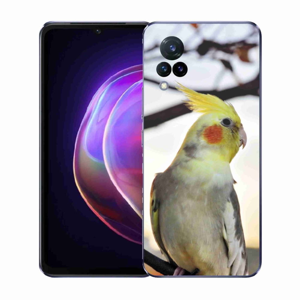 Gél borítás mmCase a Vivo V21 4G/5G készülékhez - papagáj korela