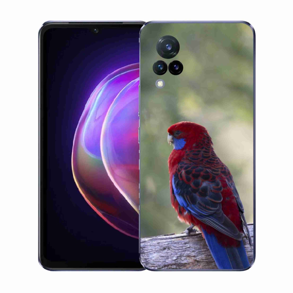 Gél borítás mmCase a Vivo V21 4G/5G készülékhez - papagáj rosela