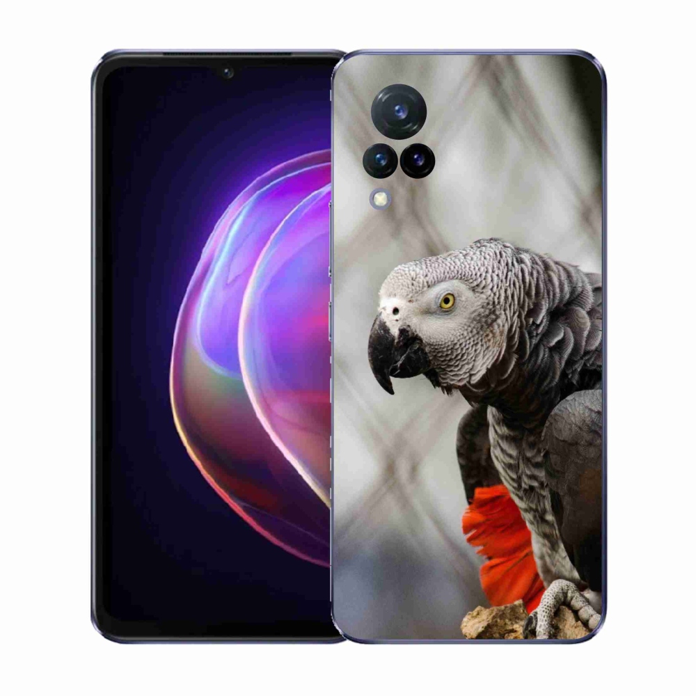 Gél borítás mmCase a Vivo V21 4G/5G készülékhez - papagáj jacco 3