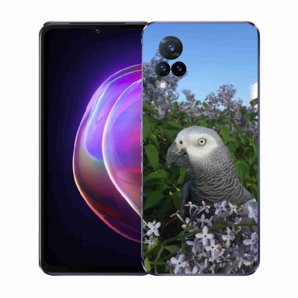Gél borítás mmCase a Vivo V21 4G/5G készülékhez - papagáj jacco