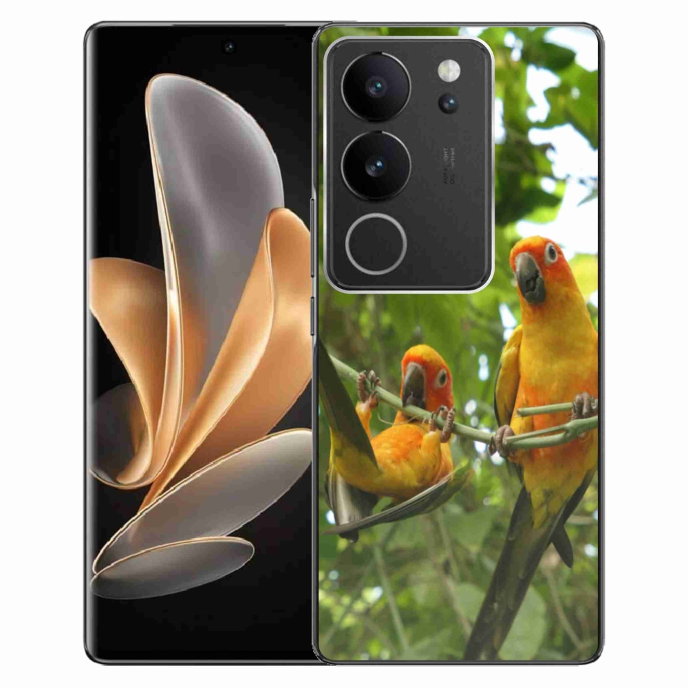 mmCase géltok a Vivo V29 5G-hez – aratinga papagájok