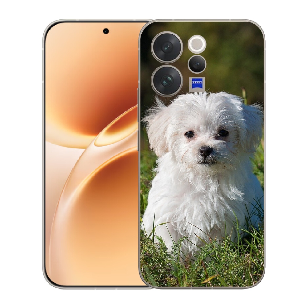 mmCase gél tok a Vivo V70-hez – bichon frisé