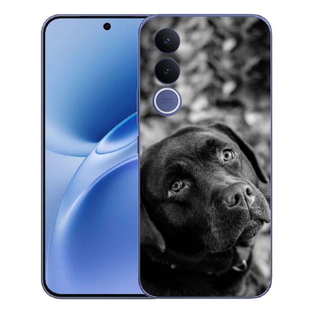 mmCase géltok a Vivo V70 FE-hez – labrador