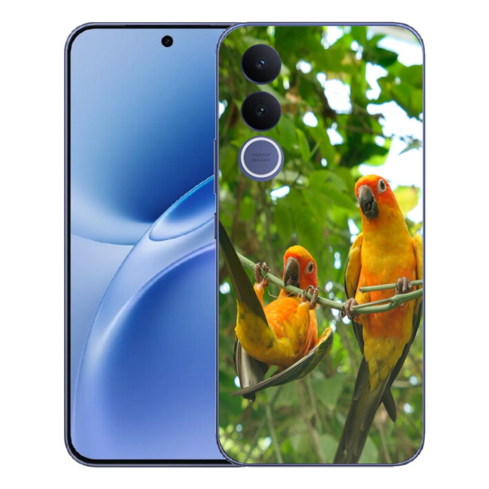 mmCase géltok a Vivo V70 FE-hez – aratinga papagájok