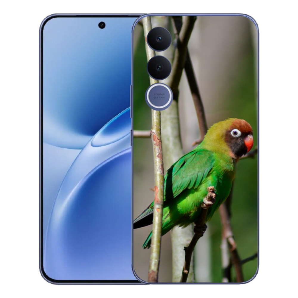 mmCase gélhuzat a Vivo V70 FE-hez – agapornis papagáj