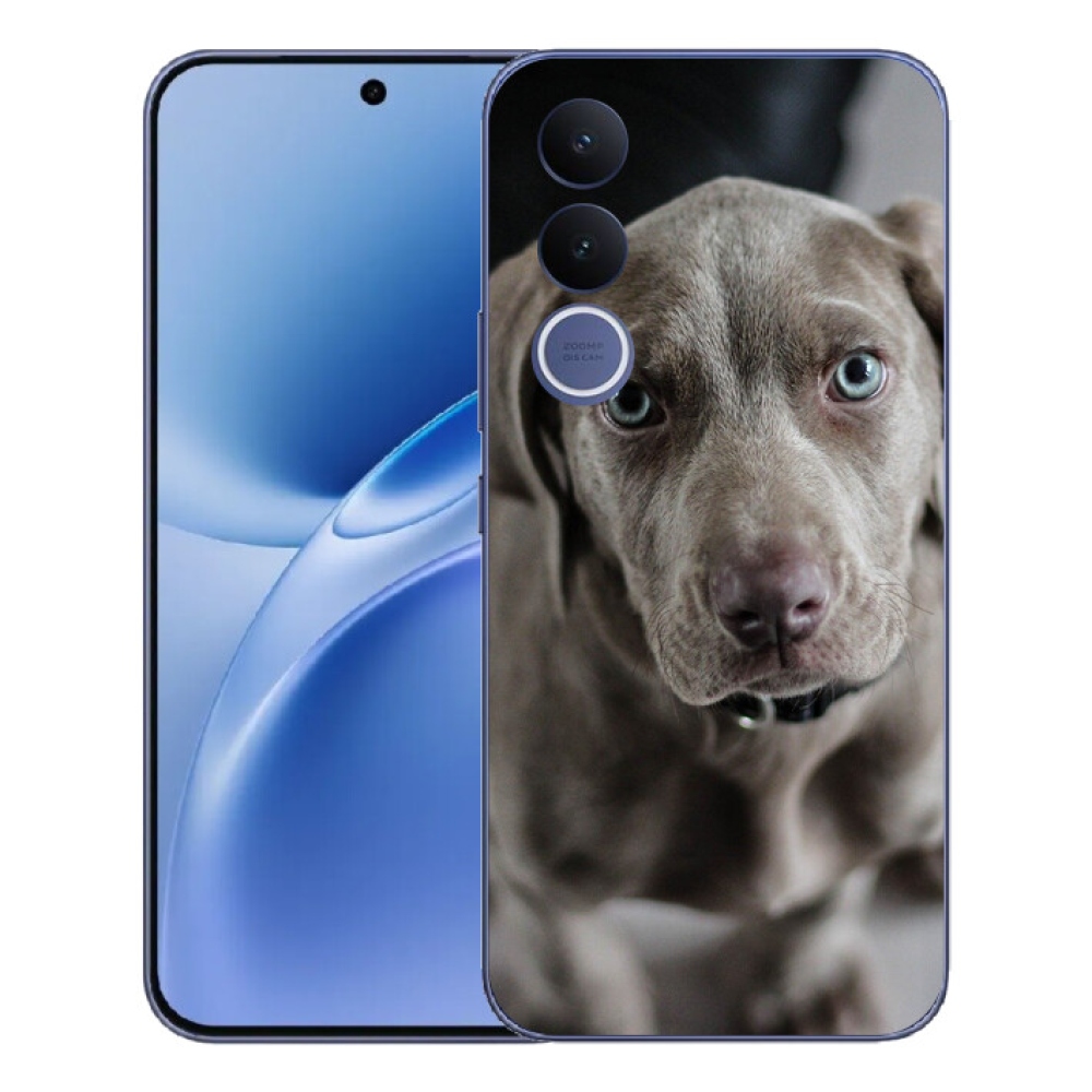 mmCase géltok a Vivo V70 FE-hez – weimari vizsla