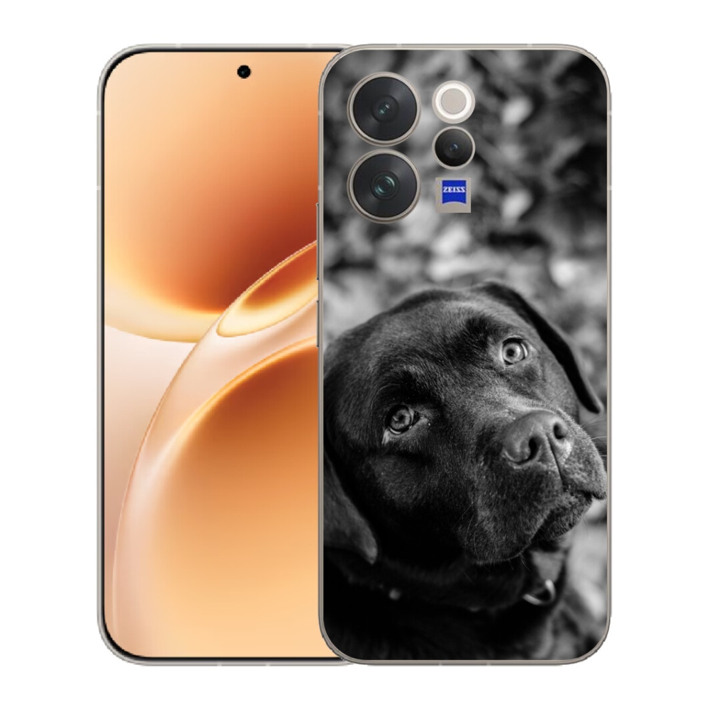 mmCase géltok a Vivo V70-hez – labrador