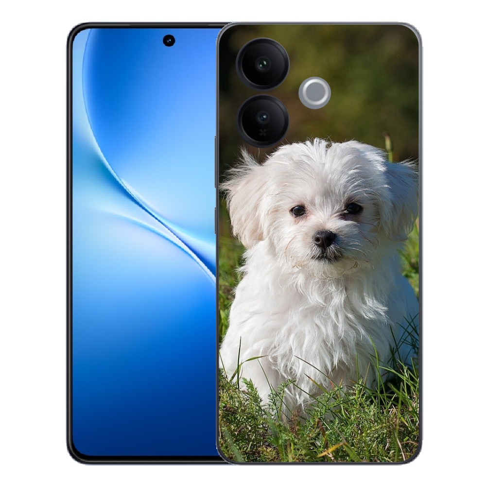 mmCase géltok a Vivo V70 Lite 5G-hez – bichon frisé