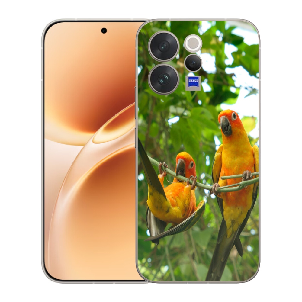 mmCase géltok a Vivo V70-hez – aratinga papagájok