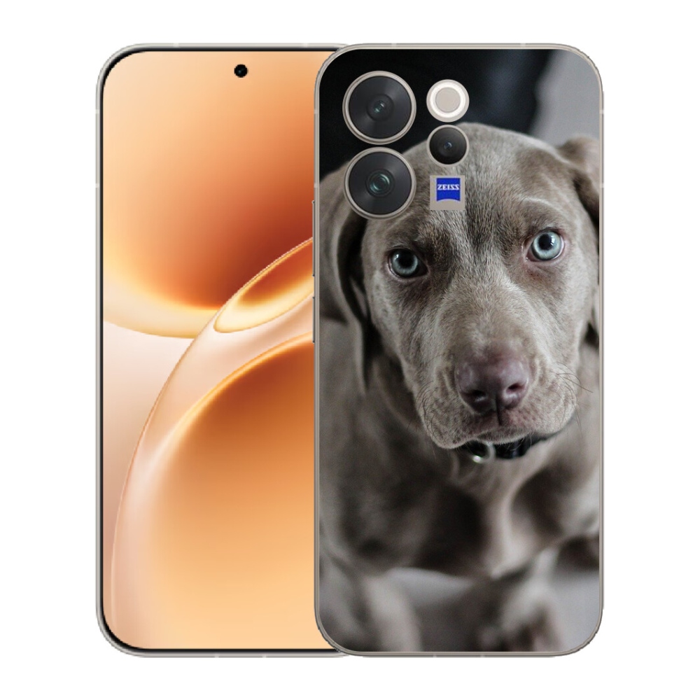 mmCase géltok a Vivo V70-hez – weimari vizsla