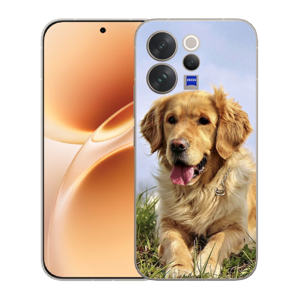mmCase géltok a Vivo V70-hez – arany retriever