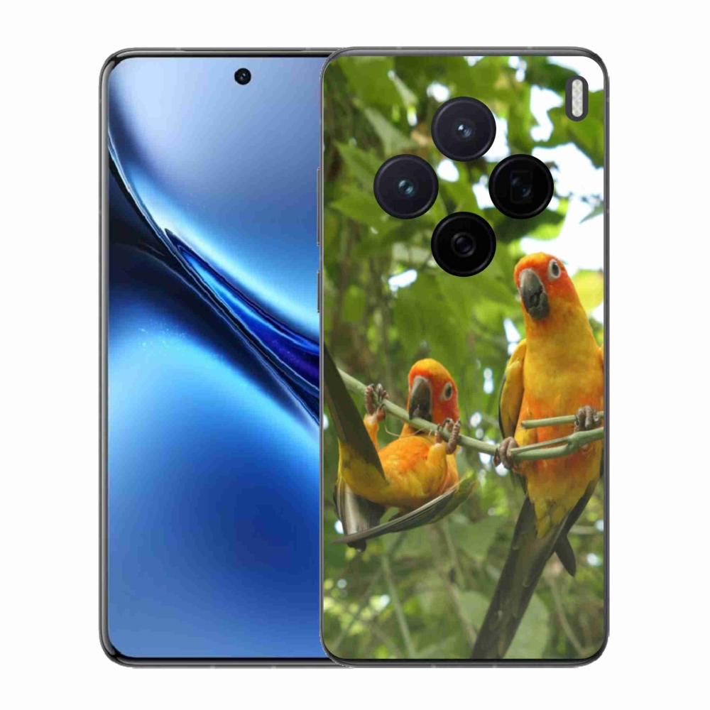 Gél borítás mmCase a Vivo X200 5G-n - papagájok aratingy