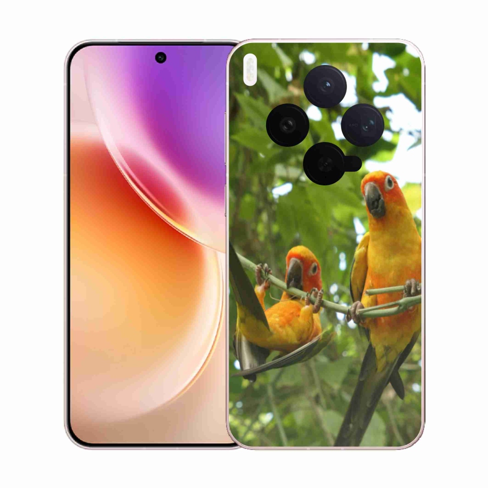 Gél borítás mmCase a Vivo X300 5G-n - papagájok aratingy