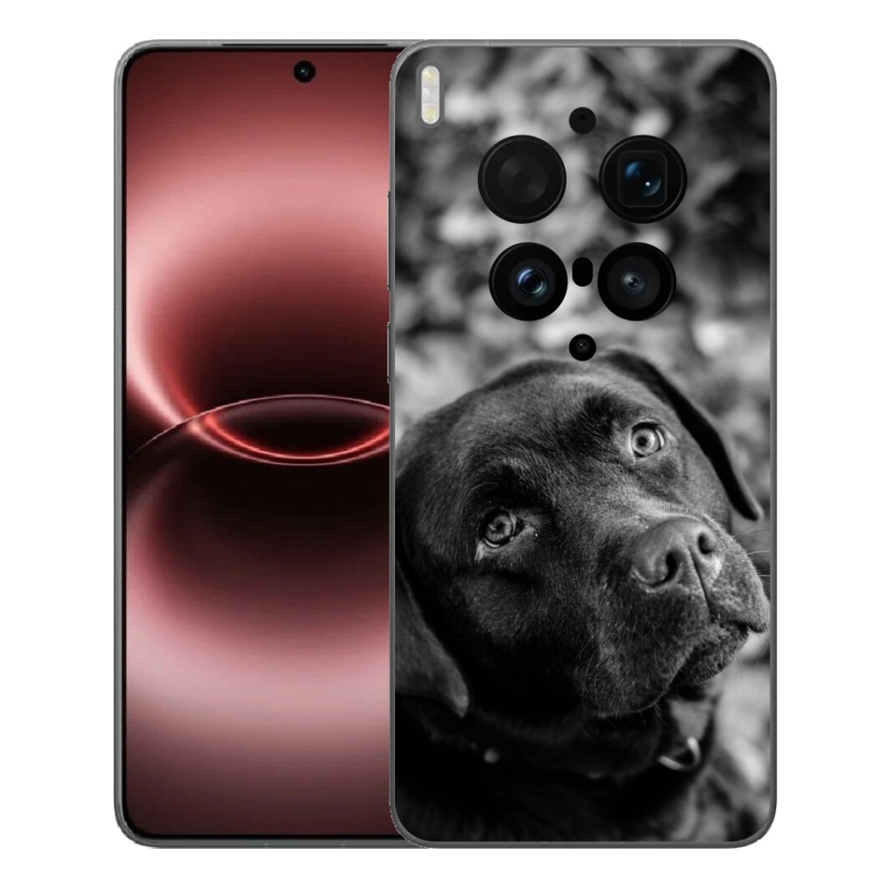 mmCase géltok a Vivo X300 Ultra-hoz – labrador