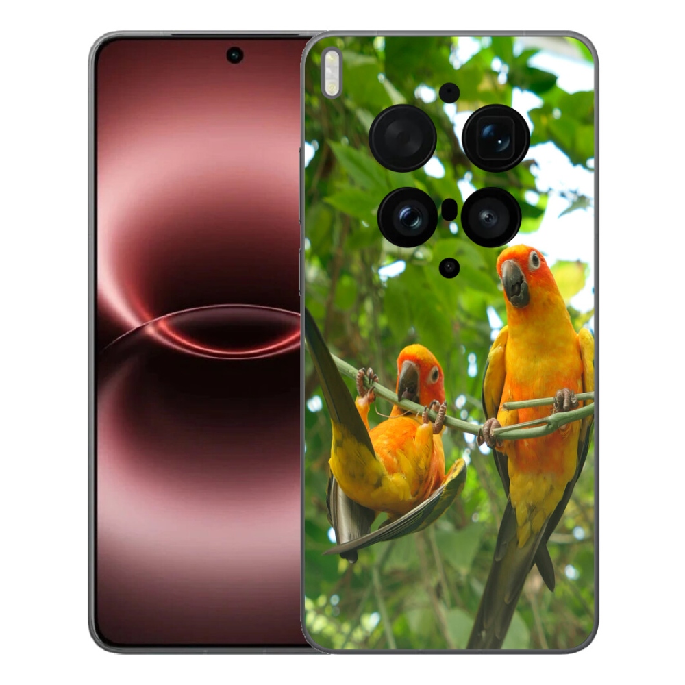mmCase géltok a Vivo X300 Ultra-hoz – aratinga papagájok