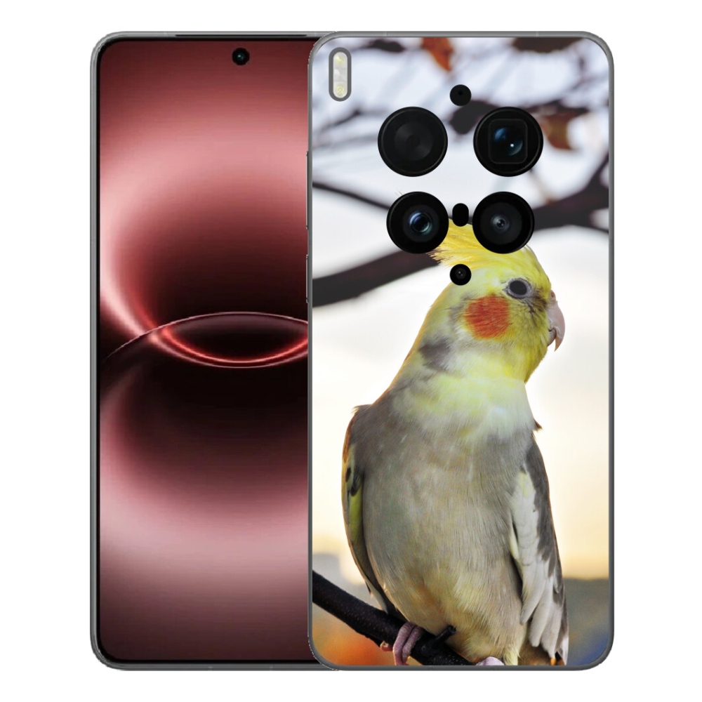 mmCase géltok a Vivo X300 Ultra-hoz – korella papagáj