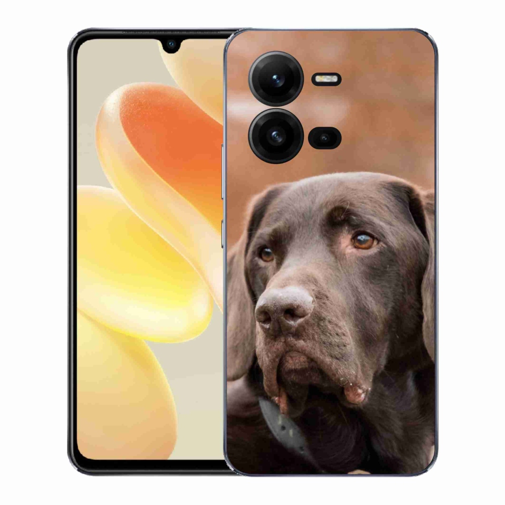 Zselés borítás mmCase a Vivo X80 Lite készülékhez - barna labrador