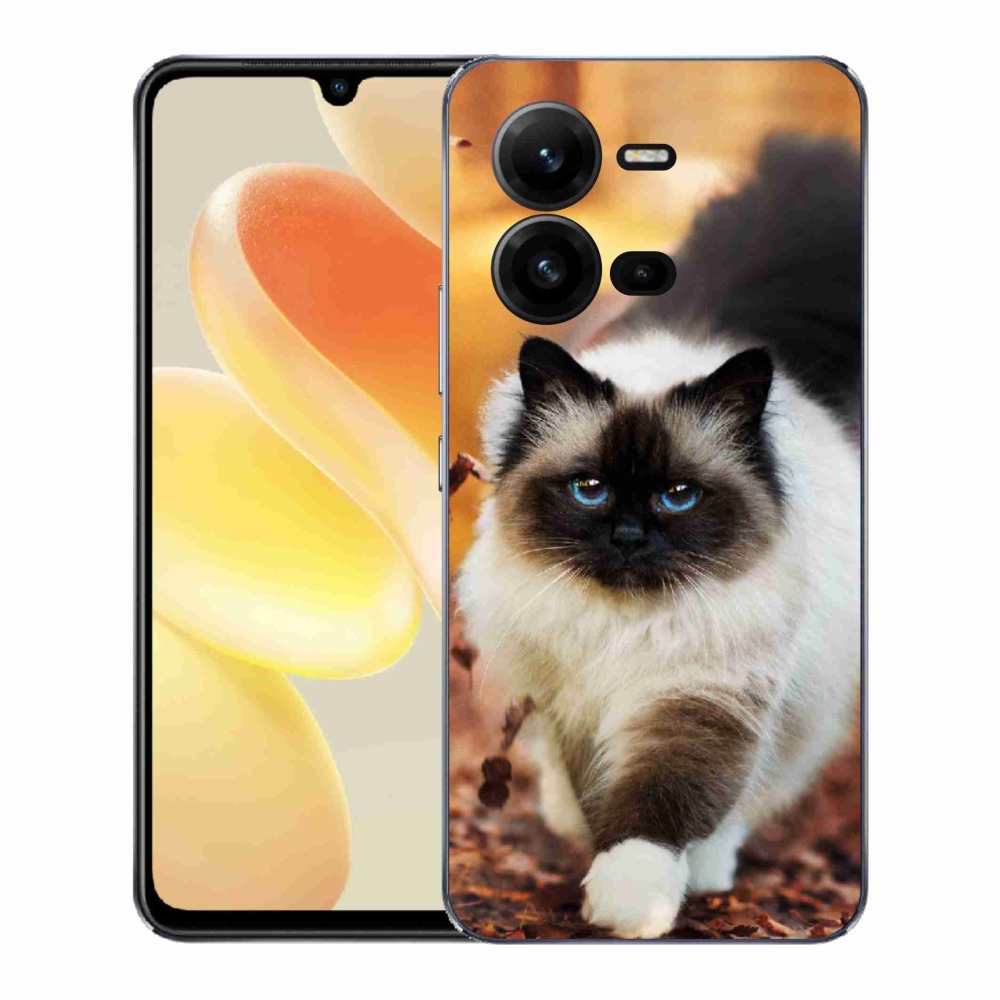 Zselés borítás mmCase a Vivo X80 Lite készülékhez - macska