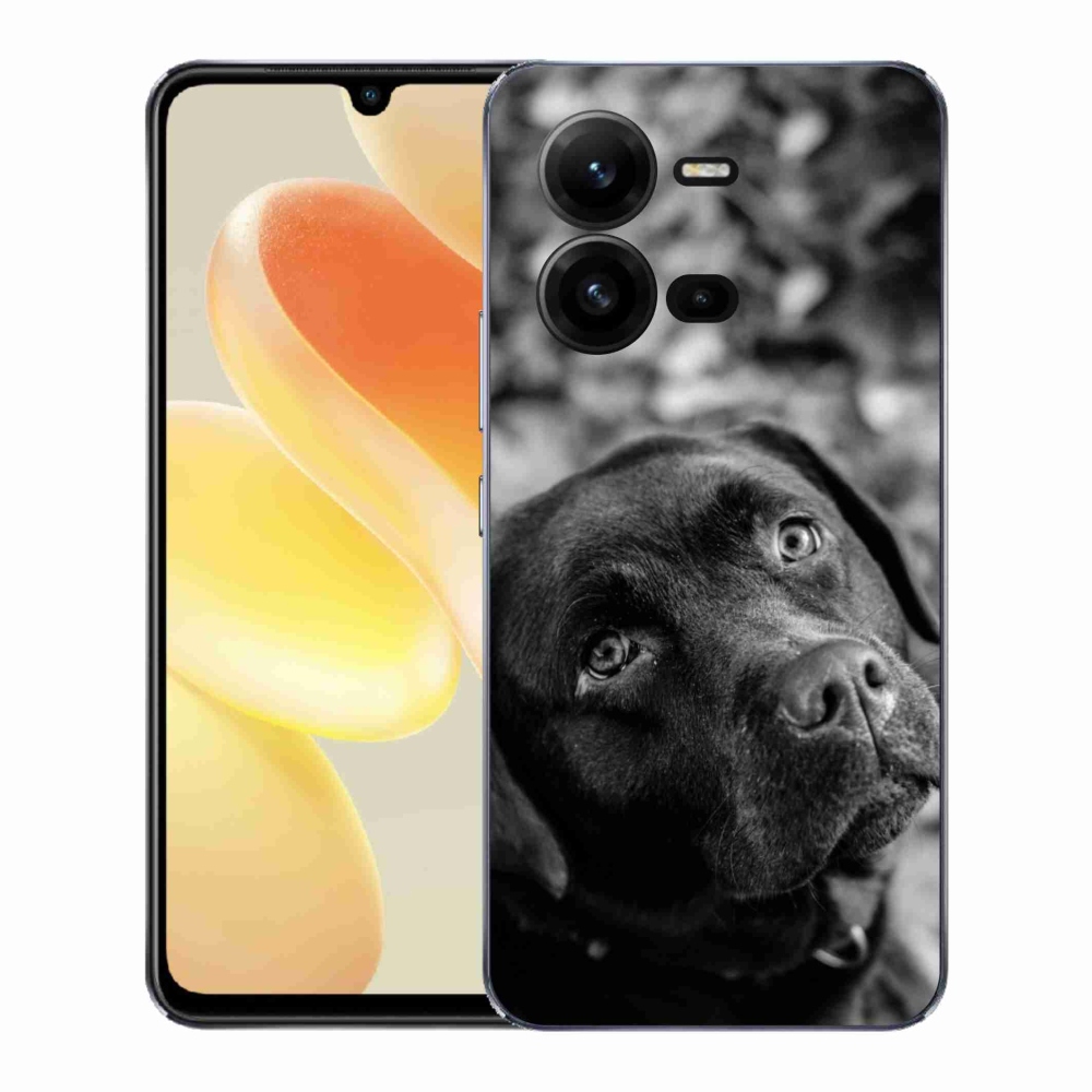Gél borítás mmCase a Vivo X80 Lite készülékhez - labrador