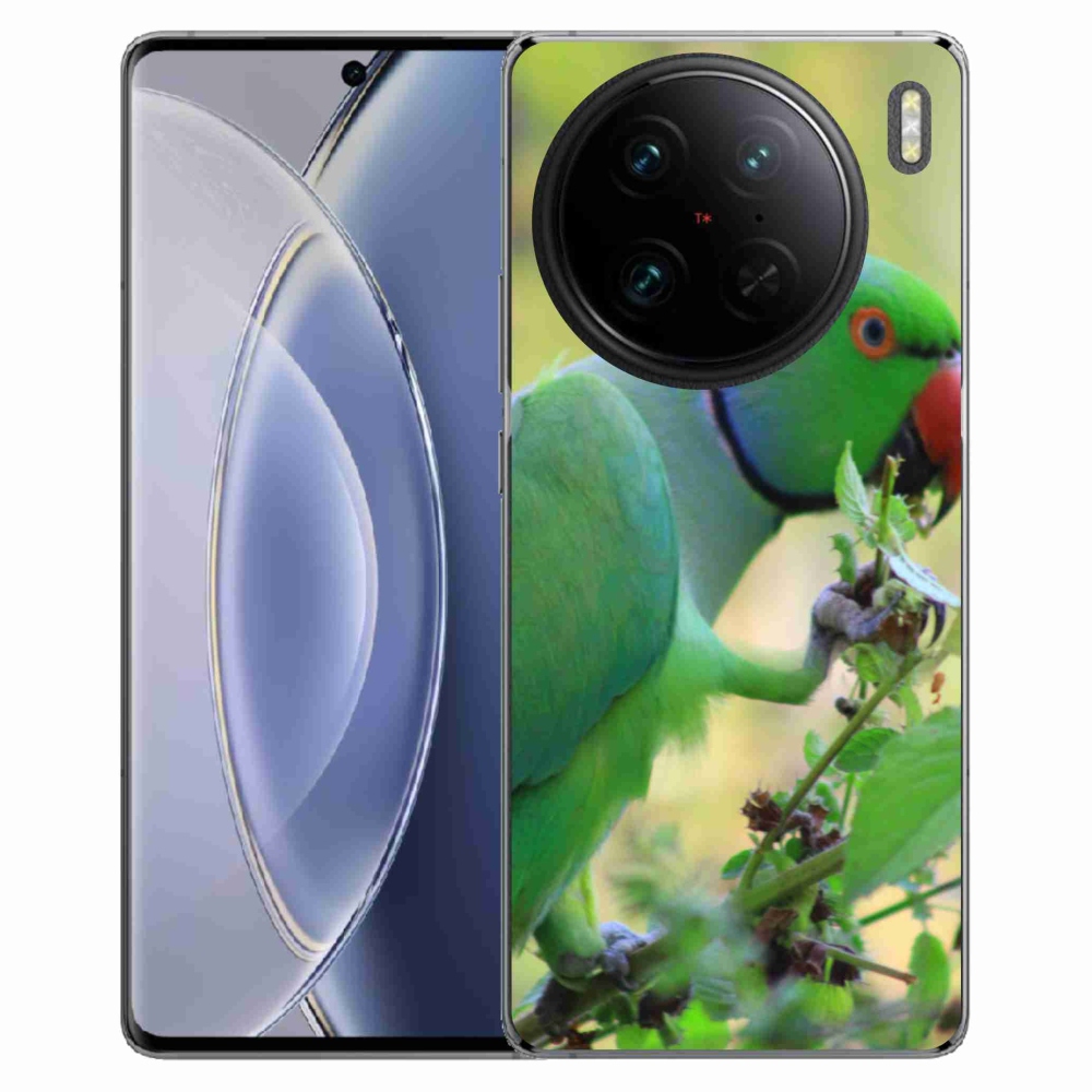 mmCase géltok a Vivo X90 Pro-hoz – alexandri papagáj