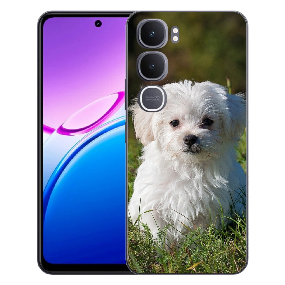 mmCase géltok a Vivo Y31 5G-hez – bichon frisé