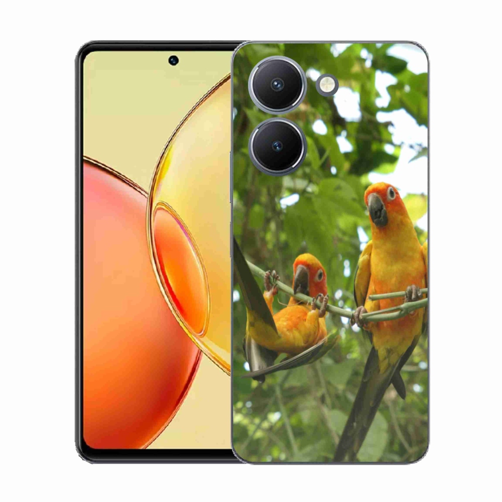 Zselés borítás mmCase a Vivo Y36-hoz - papagájok aratingy