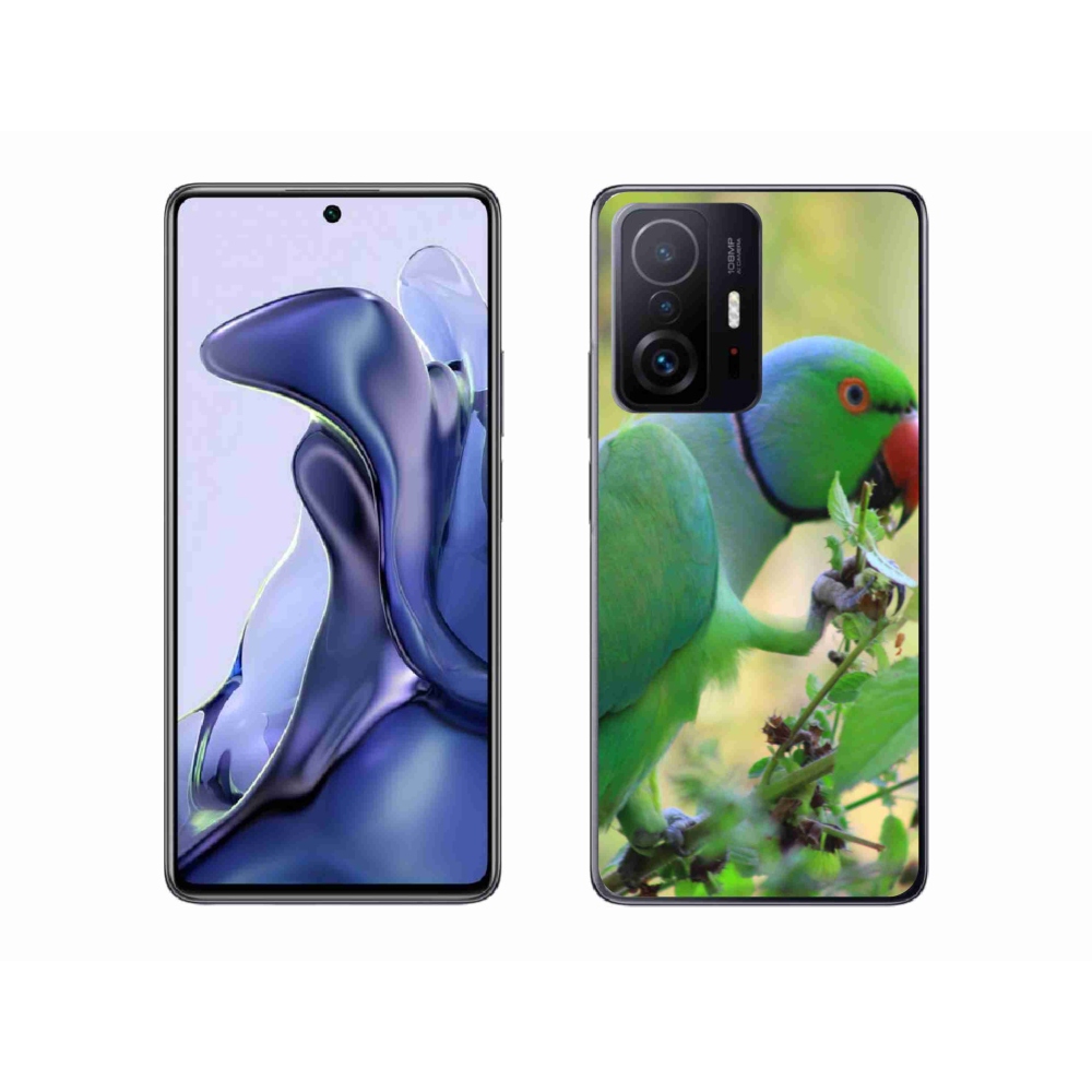 Gél borítás mmCase a Xiaomi 11T Pro számára - papagáj alexandr
