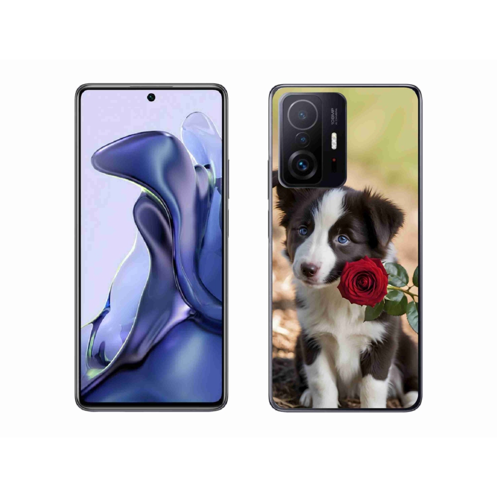 Gél borítás mmCase a Xiaomi 11T-hez - aranyos border collie rózsával