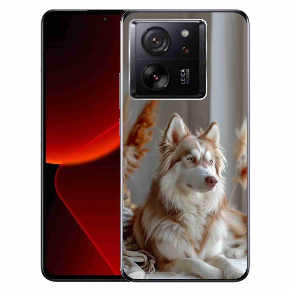 Gél borítás mmCase a Xiaomi 13T/13T Pro számára - csendes szibériai husky
