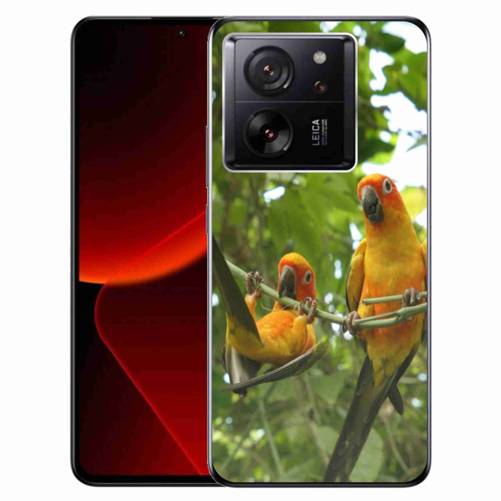 Gél borítás mmCase a Xiaomi 13T/13T Pro számára - papagájok aratingy