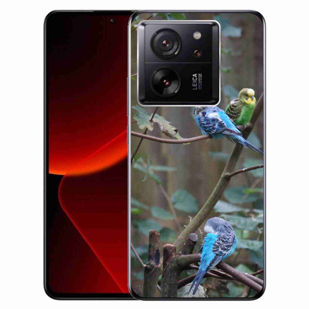 Gél borítás mmCase a Xiaomi 13T/13T Pro számára - papagájok az ágon