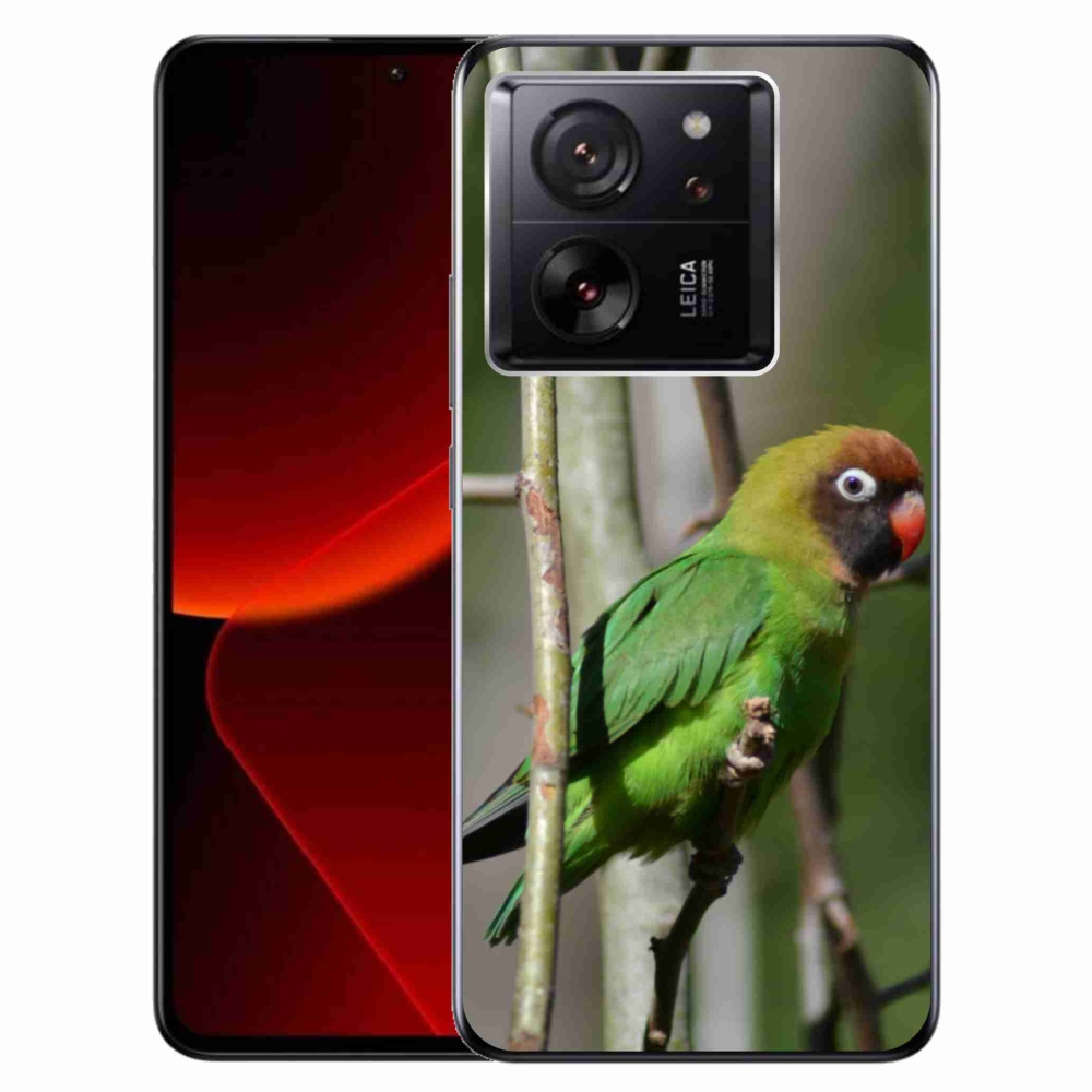 Gél borítás mmCase a Xiaomi 13T/13T Pro számára - papagáj agapornis